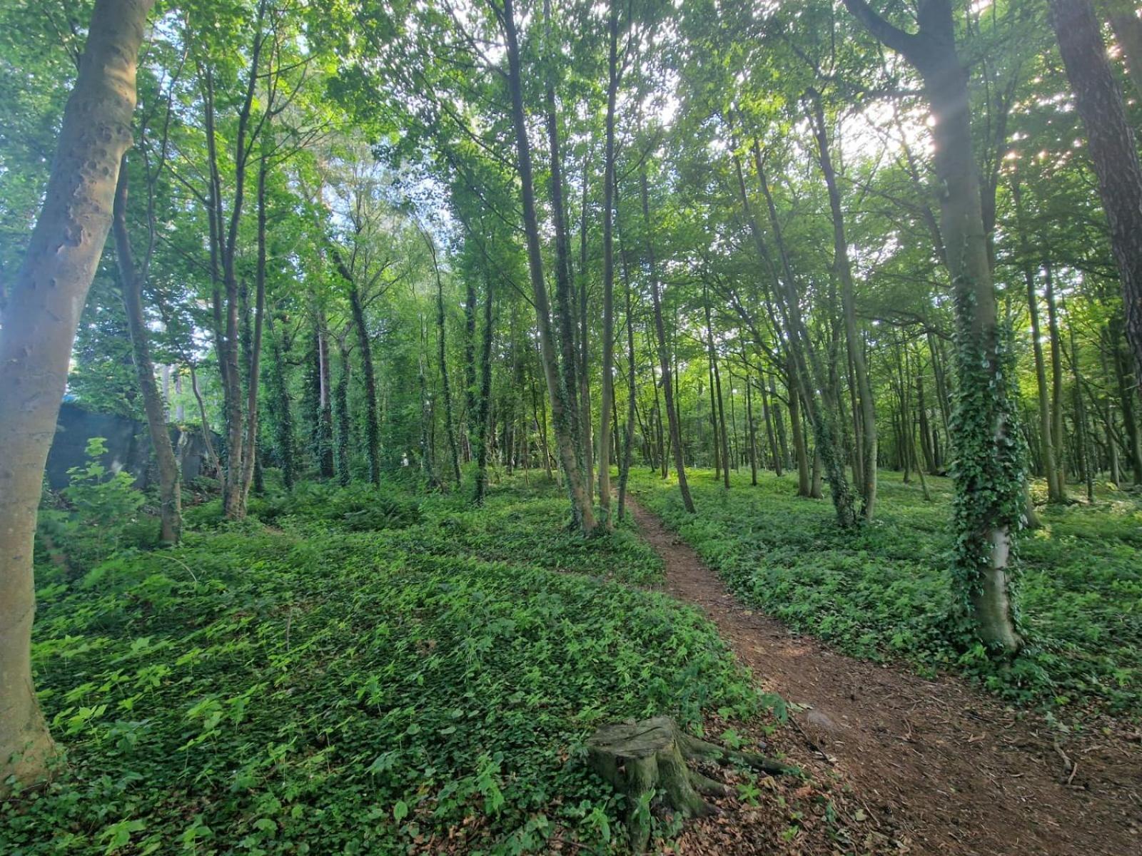 Osrodek Promenada- Horyzont * Jastrzebia Gora